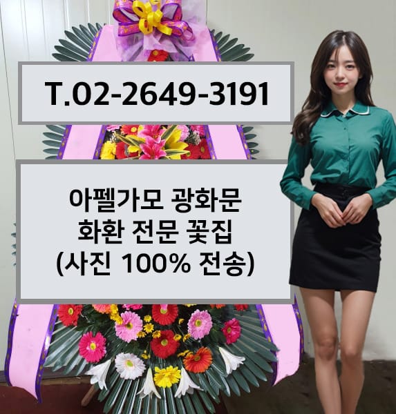 아펠가모 광화문 전경